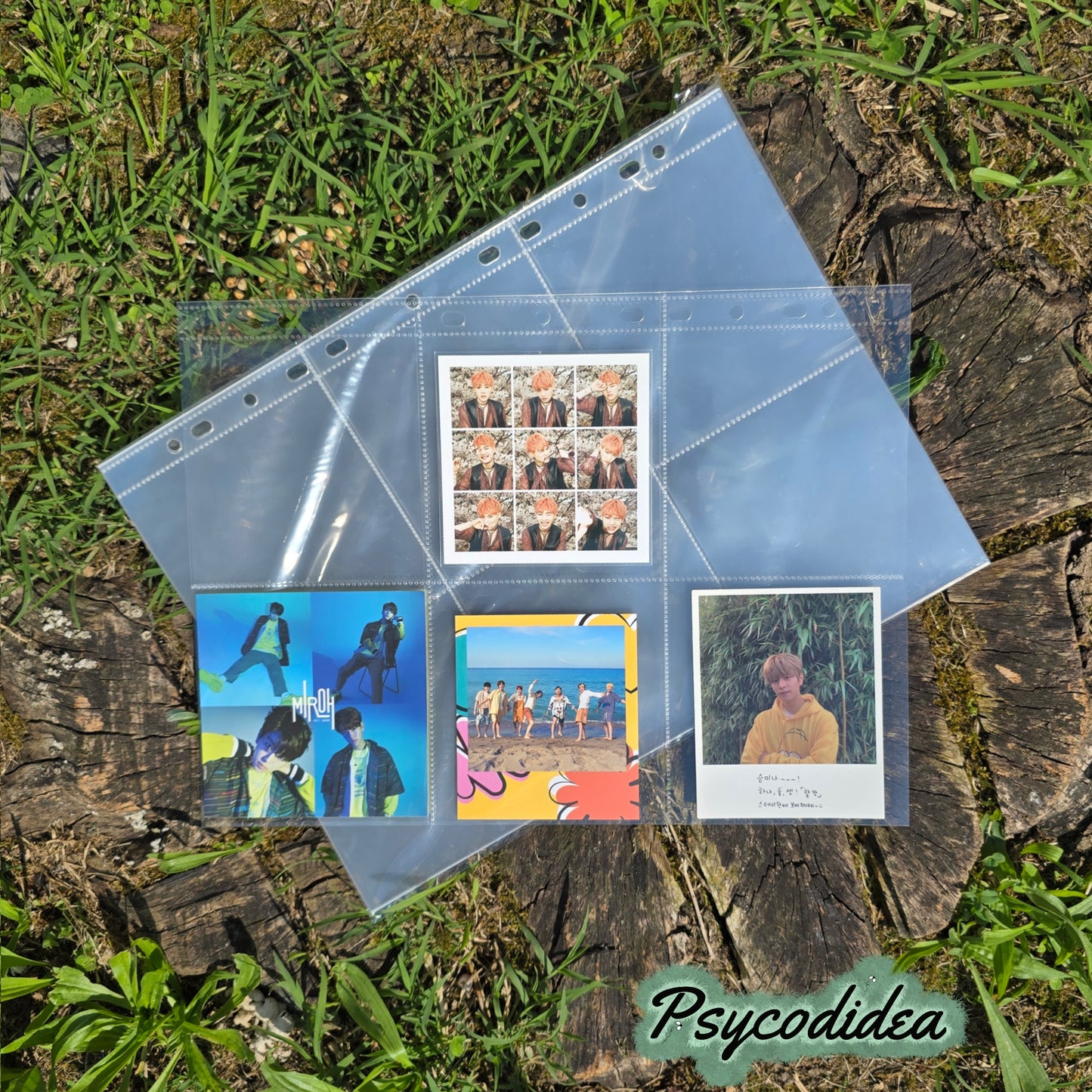 A4 Pagine con 6 tasche per raccoglitori esempio