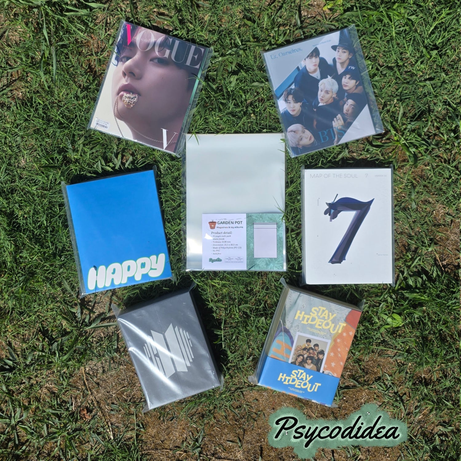 esempio sleeves per grandi album e riviste