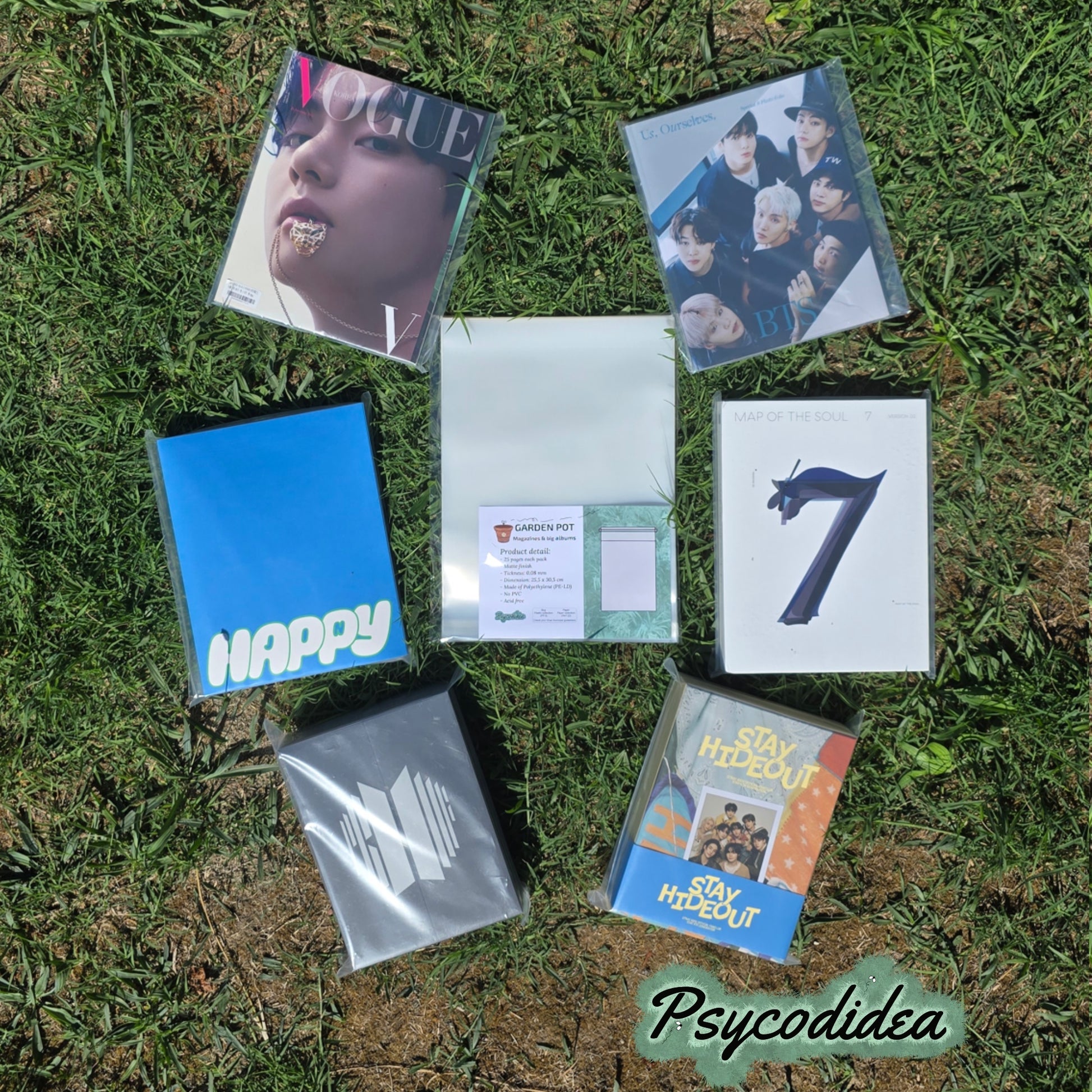 esempio sleeves per grandi album e riviste